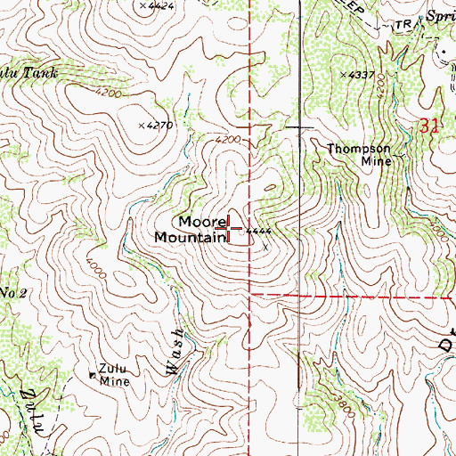 Topographic Map of Moore Mountain, AZ