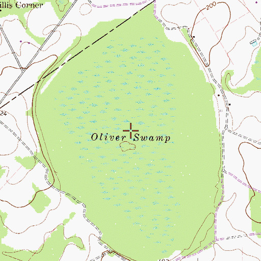 Topographic Map of Oliver Swamp, GA