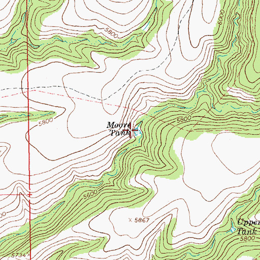Topographic Map of Moore Tank, AZ
