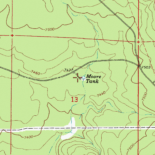 Topographic Map of Moore Tank, AZ
