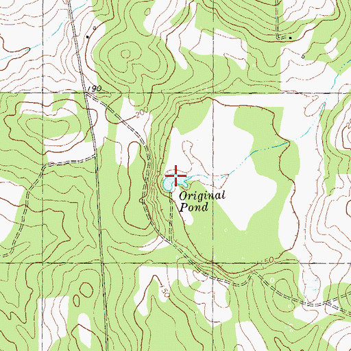 Topographic Map of Original Pond, GA