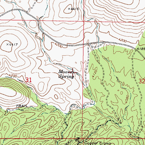 Topographic Map of Moores Spring, AZ