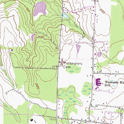 Topographic Map of Pallbearers Cemetery, GA