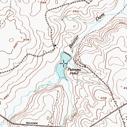 Topographic Map of Palmers Pond, GA