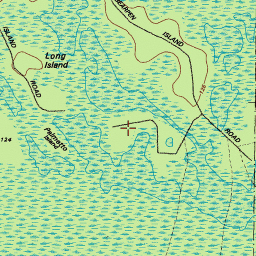 Topographic Map of Palmetto Island, GA
