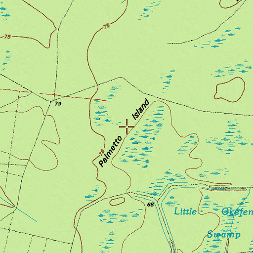 Topographic Map of Palmetto Island, GA