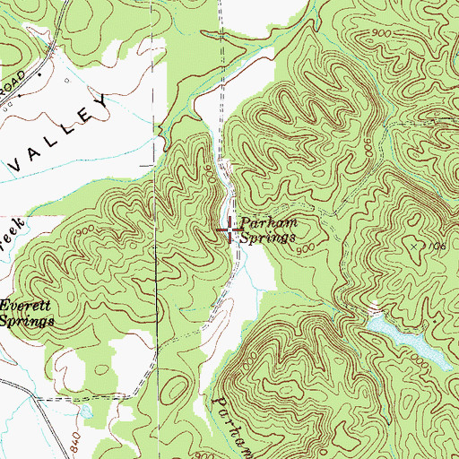 Topographic Map of Parham Springs, GA
