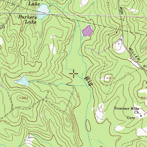 Topographic Map of Parkers Lake, GA