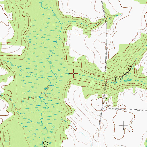Topographic Map of Parkins Branch, GA