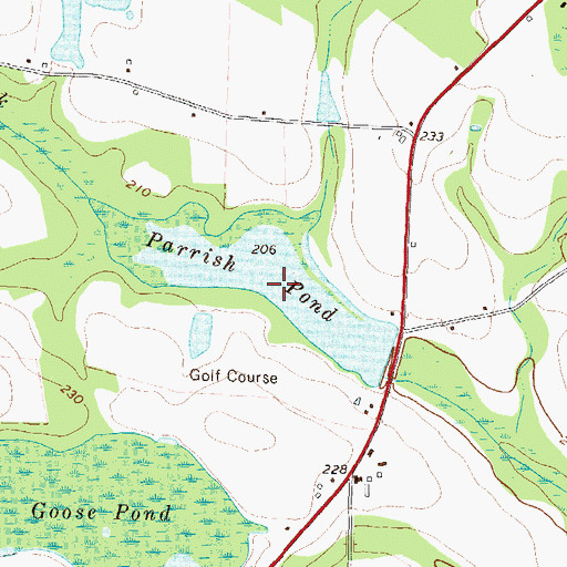 Topographic Map of Parrish Pond, GA