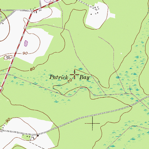 Topographic Map of Patrick Bay, GA