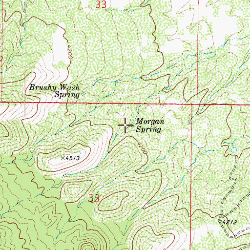 Topographic Map of Morgan Spring, AZ