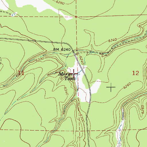 Topographic Map of Morgan Tank, AZ