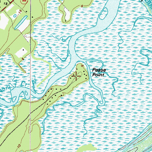 Topographic Map of Pease Point, GA