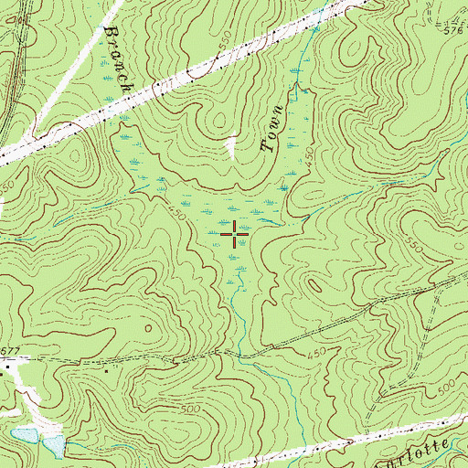 Topographic Map of Peavy Branch, GA