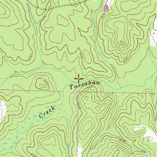 Topographic Map of Peeksville Creek, GA