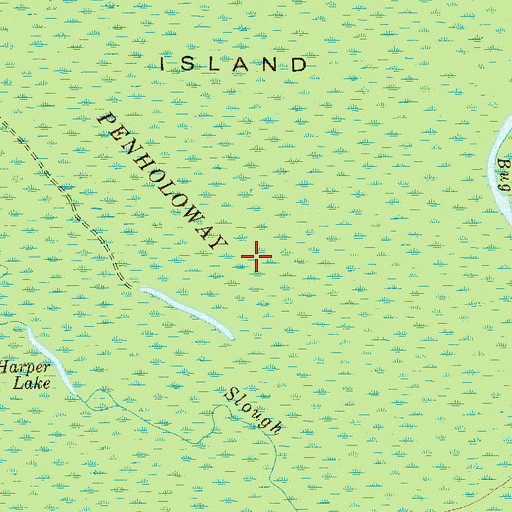 Topographic Map of Penholoway Swamp, GA