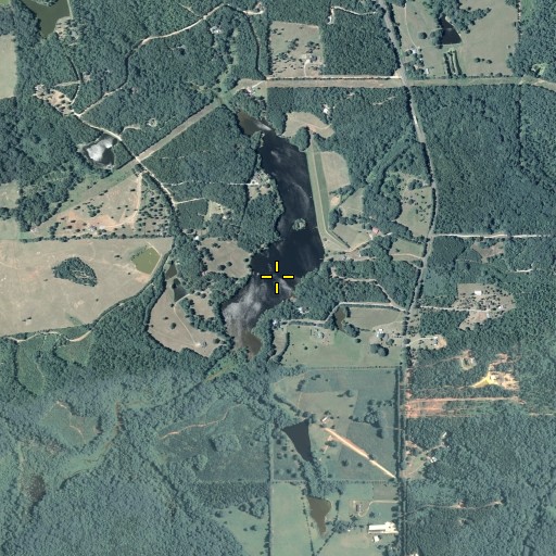 Aerial/Satellite Image of Peoples Branch, GA