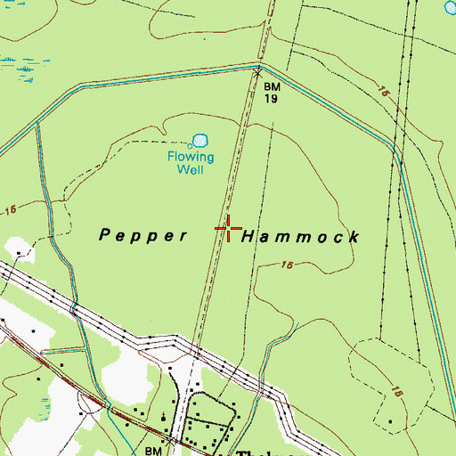 Topographic Map of Pepper Hammock, GA