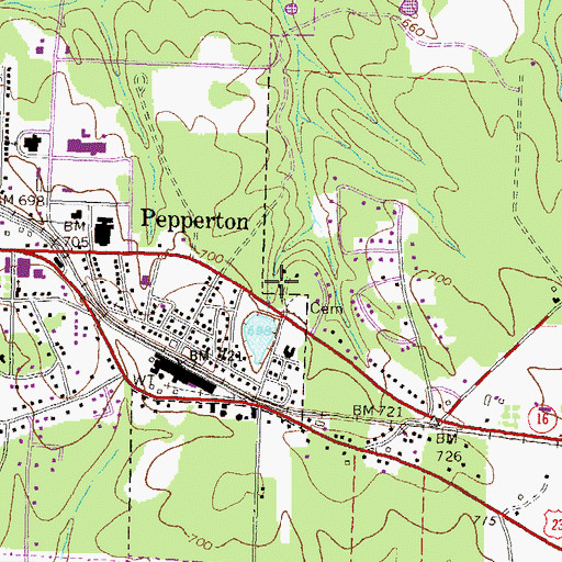 Topographic Map of Pepperton, GA
