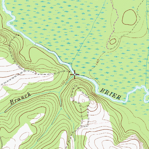 Topographic Map of Peters Branch, GA