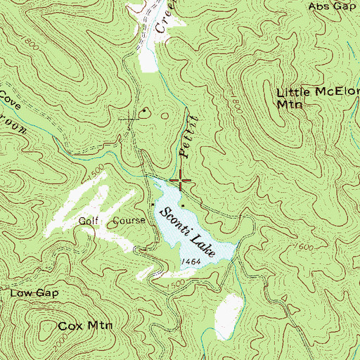 Topographic Map of Pettit Creek, GA