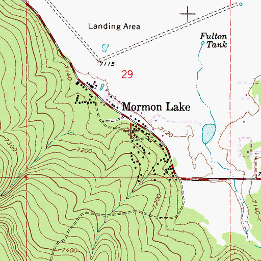 Topographic Map of Mormon Lake, AZ