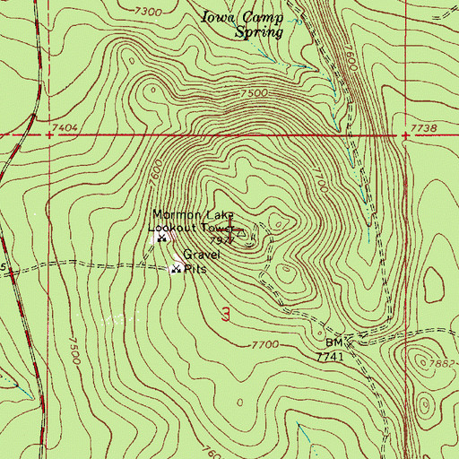 Topographic Map of Mormon Lake Lookout Tower, AZ