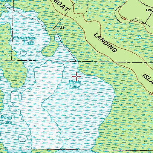 Topographic Map of Picnic Lake, GA