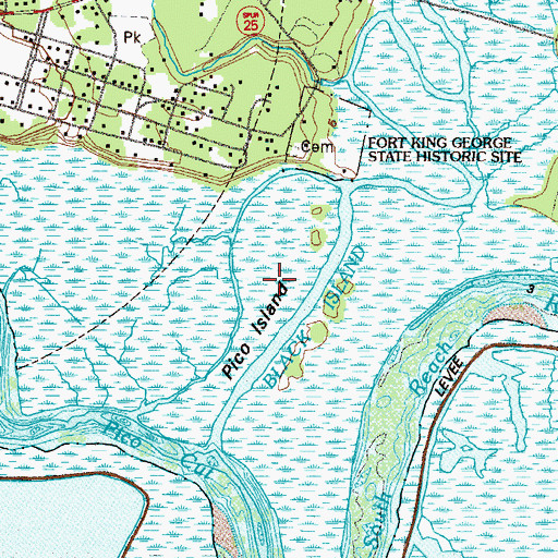 Topographic Map of Pico Island, GA