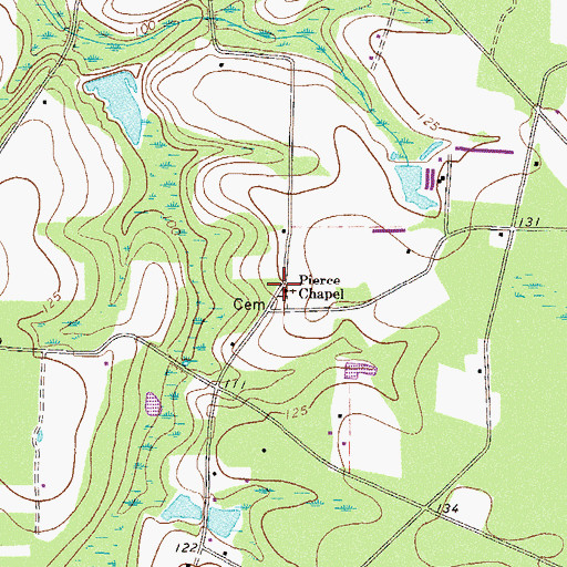 Topographic Map of Pierce Chapel, GA
