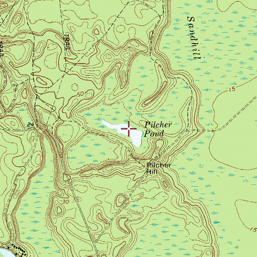 Topographic Map of Pilcher Pond, GA