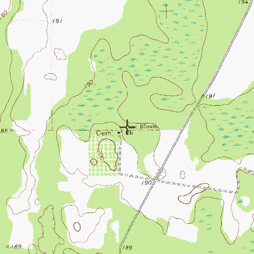 Topographic Map of Pine Bloom Church, GA