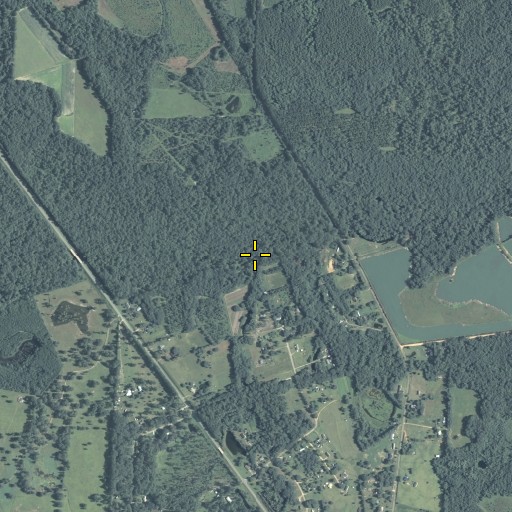 Aerial/Satellite Image of Pine Branch, GA