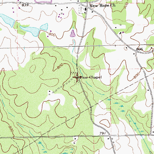 Topographic Map of Pine Chapel, GA