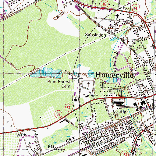 Topographic Map of Pine Forest Cemetery, GA