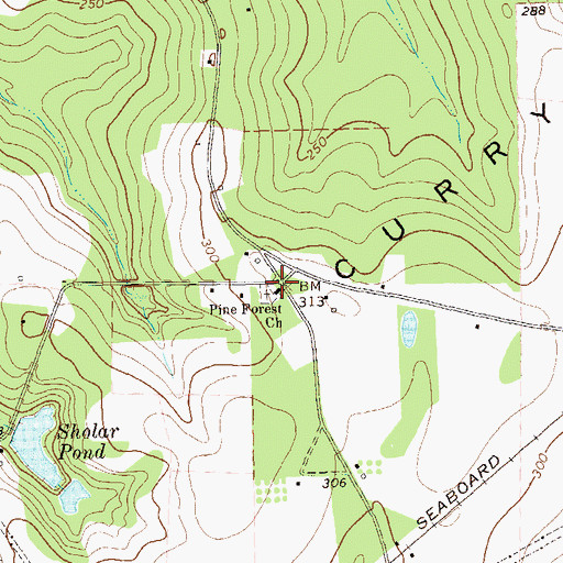 Topographic Map of Pine Forest Church, GA
