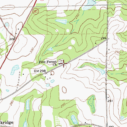 Topographic Map of Pine Forest Church, GA