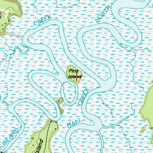 Topographic Map of Pine Island, GA