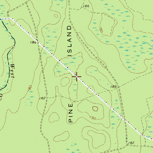 Topographic Map of Pine Island, GA