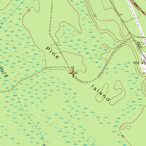 Topographic Map of Pine Island, GA