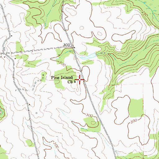 Topographic Map of Pine Island Church, GA