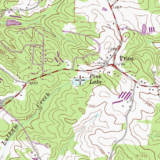 Topographic Map of Pine Lake, GA