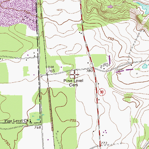 Topographic Map of Pine Level Cemetery, GA