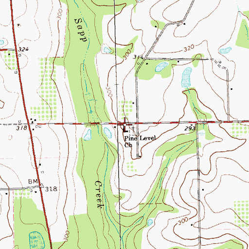 Topographic Map of Pine Level Church, GA
