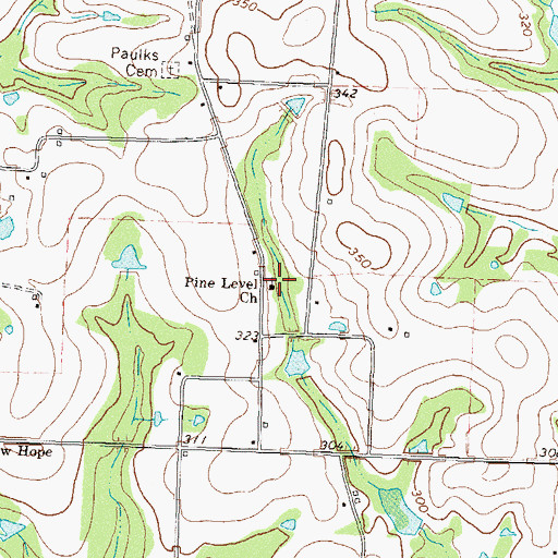 Topographic Map of Pine Level Church, GA