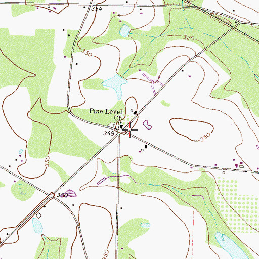 Topographic Map of Pine Level Church, GA