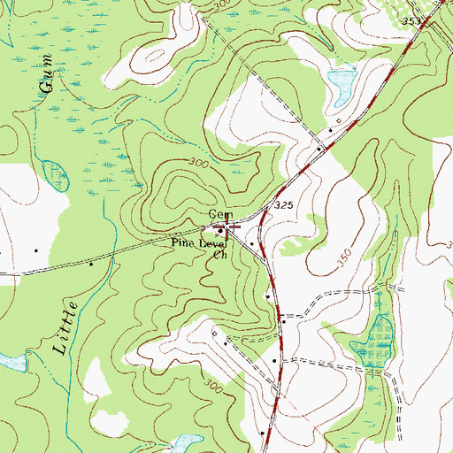 Topographic Map of Pine Level Church, GA