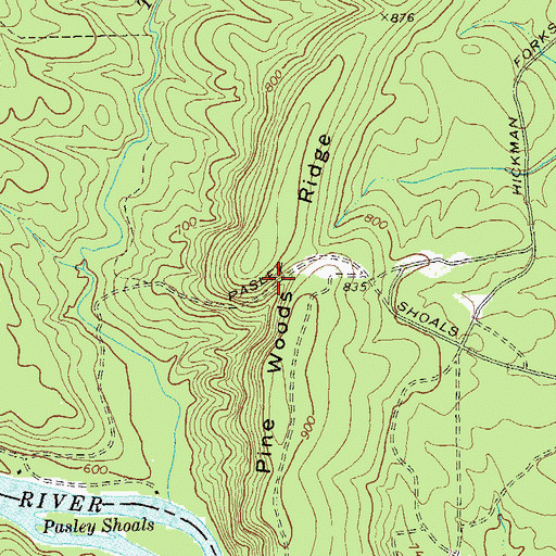 Topographic Map of Pine Woods Ridge, GA