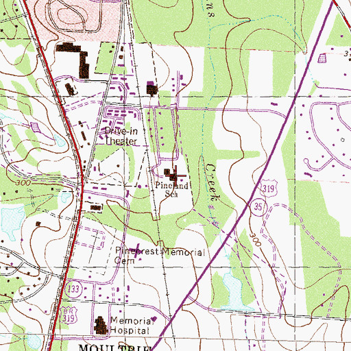 Topographic Map of Pineland School, GA